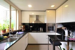The Rivervale (D19), Condominium #495960481